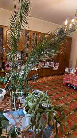 Продаж  2к новобудова в самому центрі Полтава