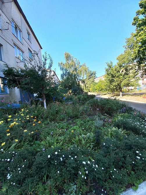 Оренда  3 кім. в  селі Щасливе Бориспільський район вул.Л.Українки 22 Щасливе - зображення 7