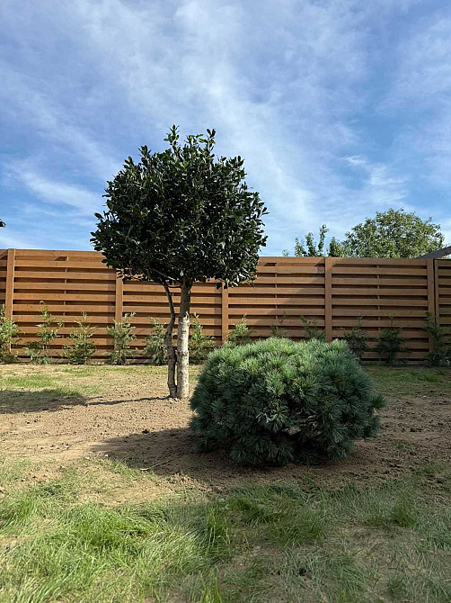 Оренда 1-кімнатної квартири довгострокова Берегово - изображение 7