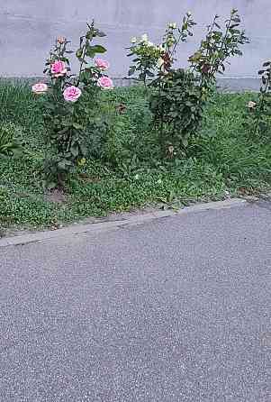 Продам 1 к квартиру на холодной горе SM Харьков