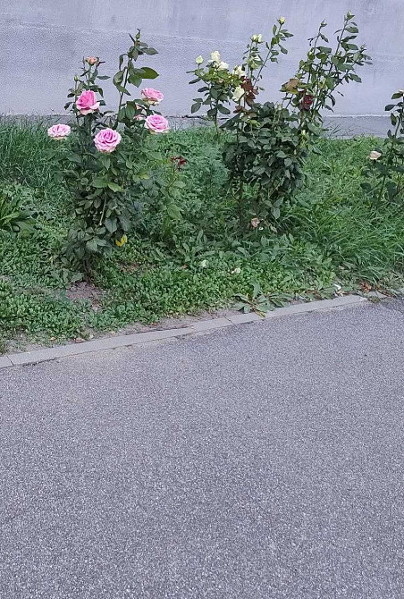 Продам 1 к квартиру на холодной горе SM Харьков - изображение 6