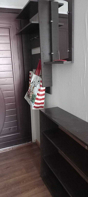 Продам 1 комнатную квартиру Пески Запоріжжя - зображення 5