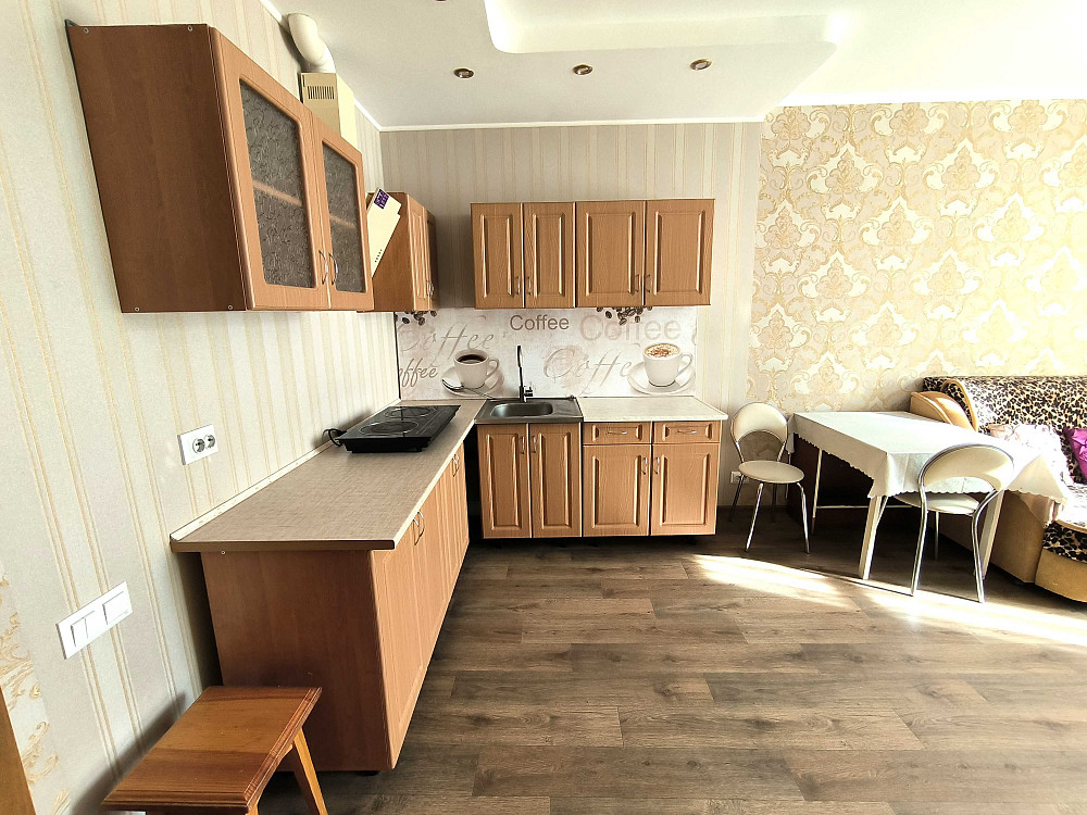 Здам 1-кімн,Святошинський, Академмістечко,Біличі, Новобіличі,«Озерний» Київ - зображення 4