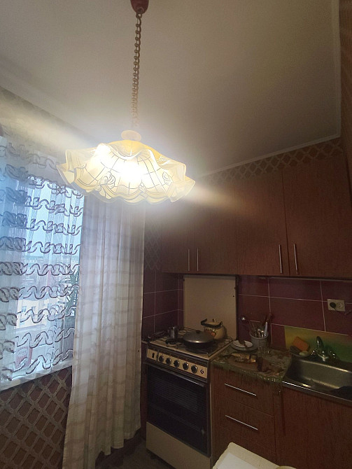 Оренда 1-кімнатна на Лушпи, з котиком) Суми - зображення 3