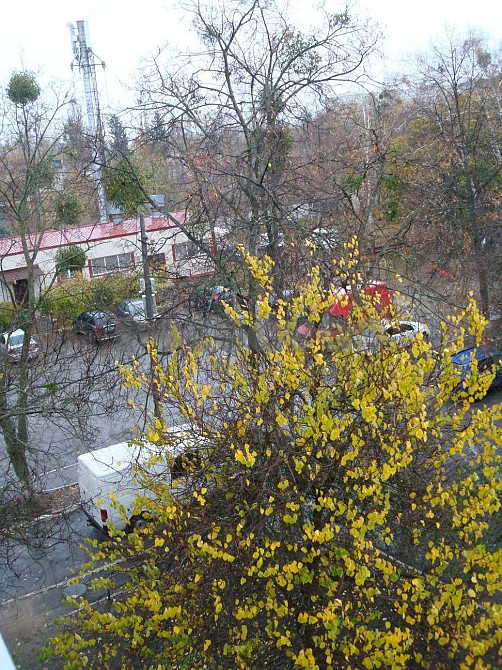 Продаж 2 - кімн кварт вул Соборна 59 Софіївська Борщагівка Софиевская Борщаговка - изображение 5