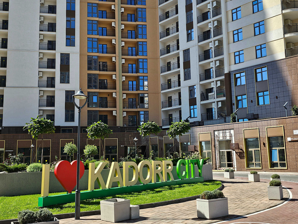 1к Ремонт. Краснова. Кадорр Сити Одесса - изображение 2