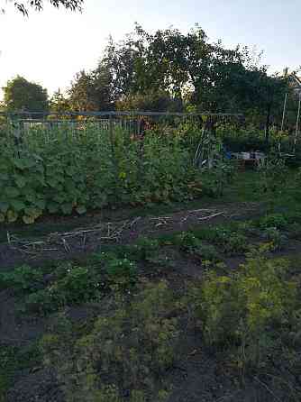 Квартира двокімнатна Стрий