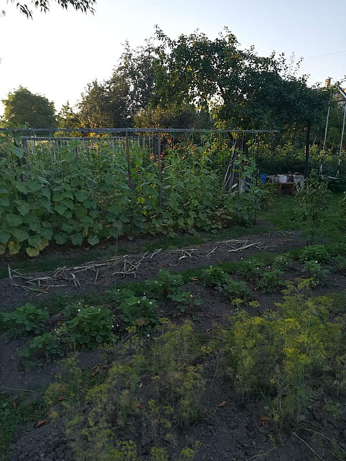 Квартира двокімнатна Стрий - зображення 3