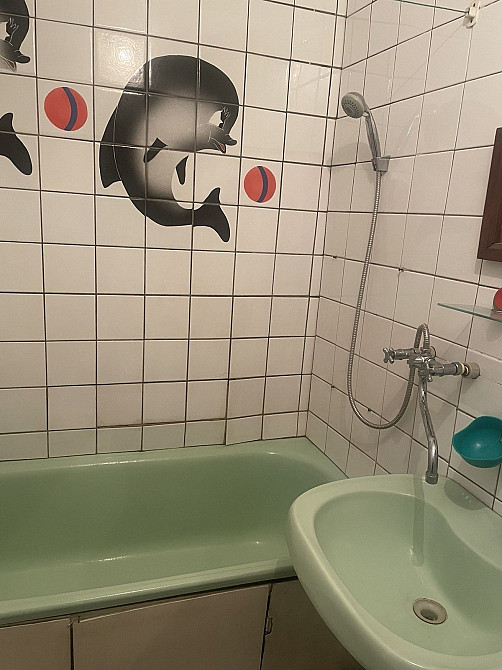 Сдам 1-комнатную квартиру Запоріжжя - зображення 6