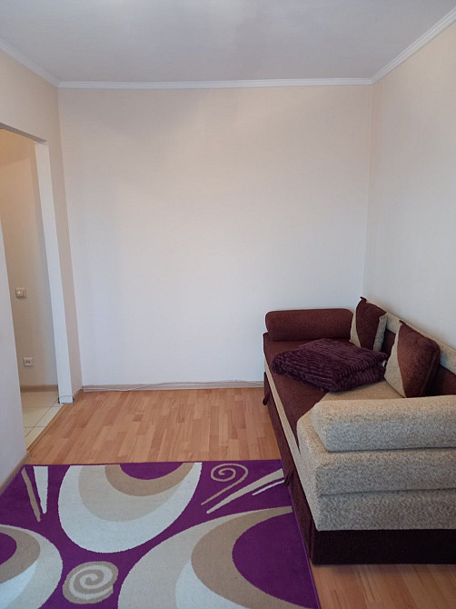 Оренда 1к малосімейка вул.В.Великого(Гетьман) з ремонтом Львів - зображення 3