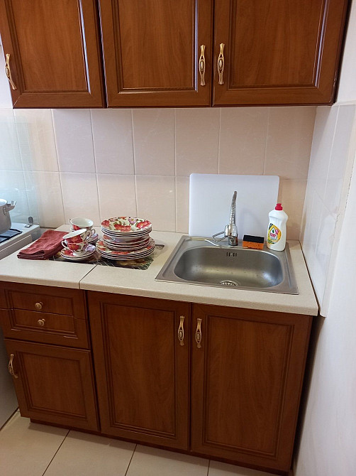 Оренда 1к малосімейка вул.В.Великого(Гетьман) з ремонтом Львів - зображення 4