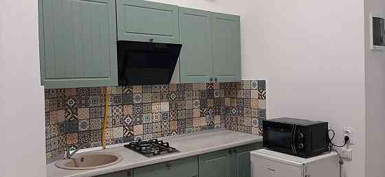 Здам 1-кімнатну квартиру у центрі Львова Львов