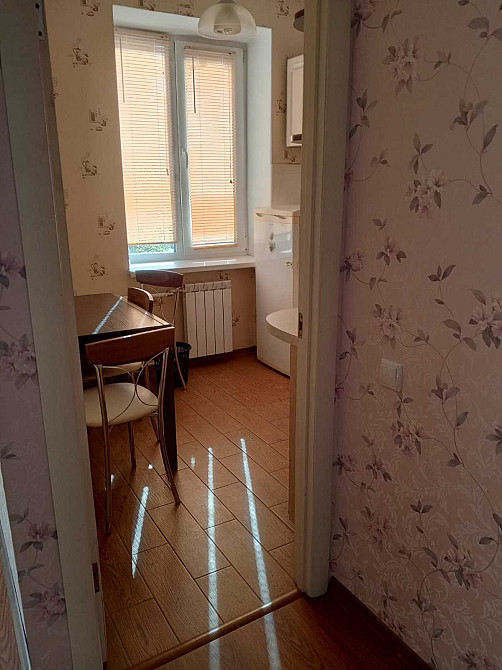 Однокімнатна на проспекті  Соборності Киев - изображение 6