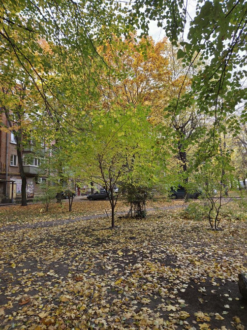 Продам 2 кім. на Шевченка 345 можна під комерцію розглянути Черкассы - изображение 8