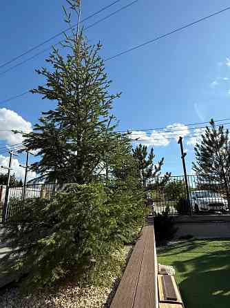 Квартира в новобудові 12 тис ЖК Оазис Хілс ‼️ м. Академмістечко 20 хв Софиевская Борщаговка