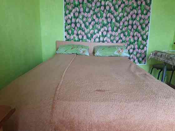 Однокомнатная квартира. Хозяйка Одесса