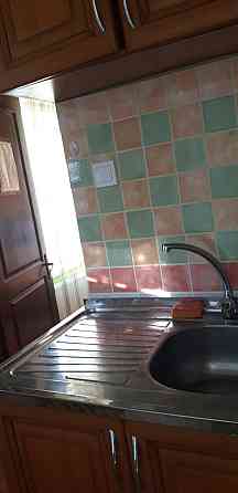 Однокомнатная квартира. Хозяйка Одесса