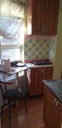 Однокомнатная квартира. Хозяйка Одесса