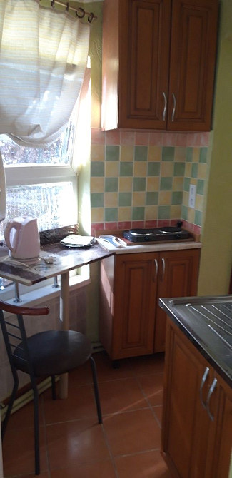 Однокомнатная квартира. Хозяйка Одесса - изображение 4