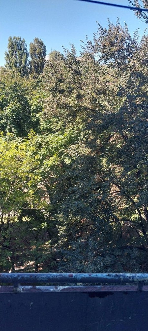 Гостинка от хозяина Софиевская Борщаговка - изображение 7