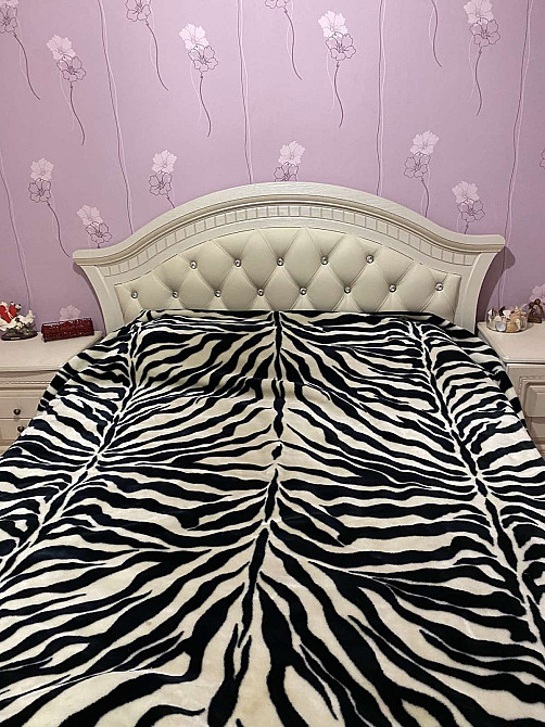 Сдам в аренду 2-х комнатную квартиру на МИРА Миколаїв - зображення 4