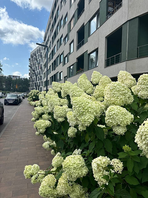 Продаж дворівневої 3-х кім.квартири з ГАЗОМ! Гостомель - изображение 5