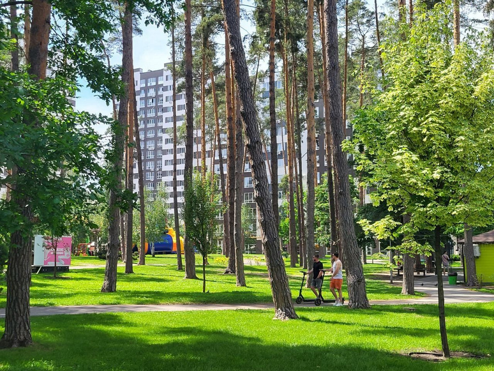 Простір, який просить, щоб його "розбудили" Ірпінь - зображення 2