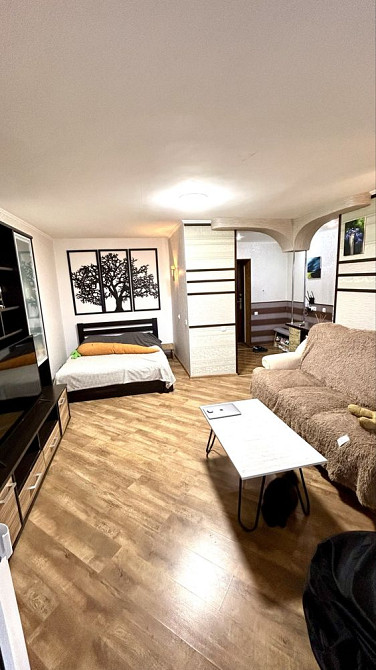 Стильна велика 1к квартира з меблями Кам`янець-Подільський - зображення 6