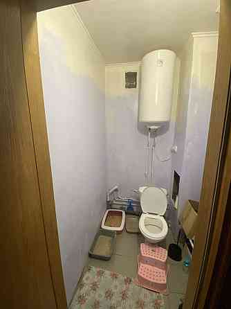 2-х кімнатна квартира з котами Київ