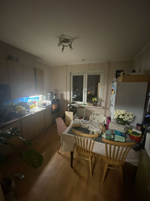 2-х кімнатна квартира з котами Київ - зображення 4