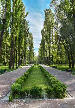 Здам свою 1к на м.Дорогожичі Київ