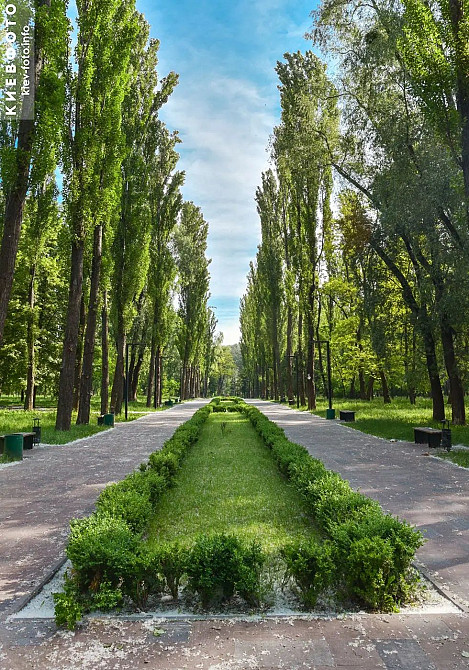 Здам свою 1к на м.Дорогожичі Київ - зображення 4