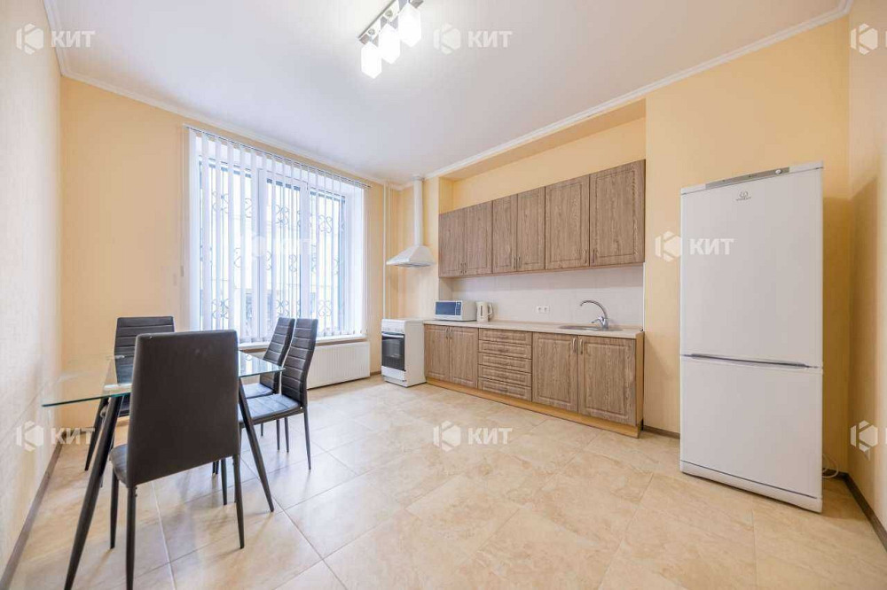 1к 52м2, Центр, Лопатинский, площадь Павловская, сквер Стрелка, 130368 Харьков - изображение 4