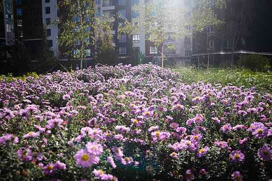 Студія в Синергія Сіті в розстрочку до 3 років Ірпінь