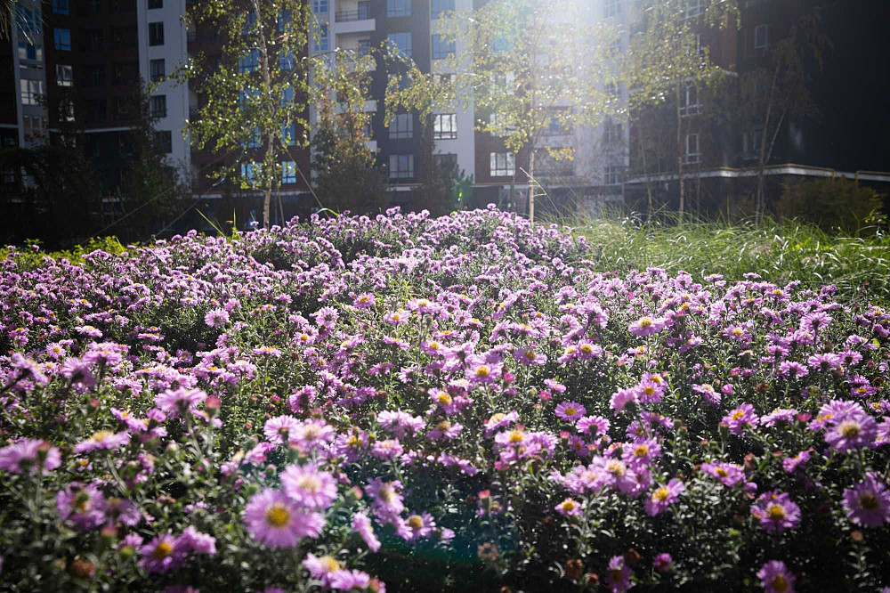 Студія в Синергія Сіті в розстрочку до 3 років Ирпень - изображение 3