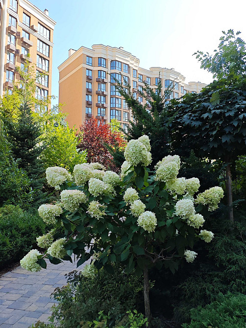 ‼️ Простора 2к квартира ‼️ ЖК Софія Резиденс є розстрочка Софіївська Борщагівка - зображення 8