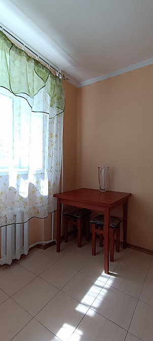 Продам  1-комнатную квартиру в Нагорном районе, высотка Днепр - изображение 8