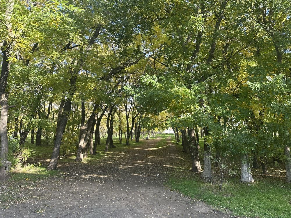 1квартира ЖК Мариинский Великодолинське - зображення 8