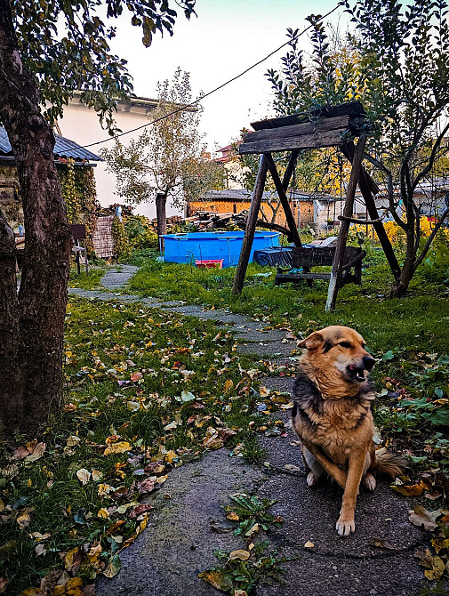 Двокімнатна квартира 2-х кімнатна квартира львів Львов - изображение 8