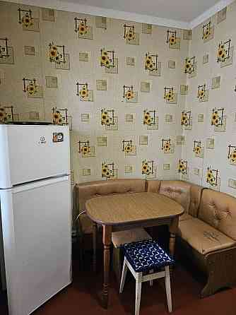 Здається в оренду однокімнатна квартира. Можна з тваринками! Киев