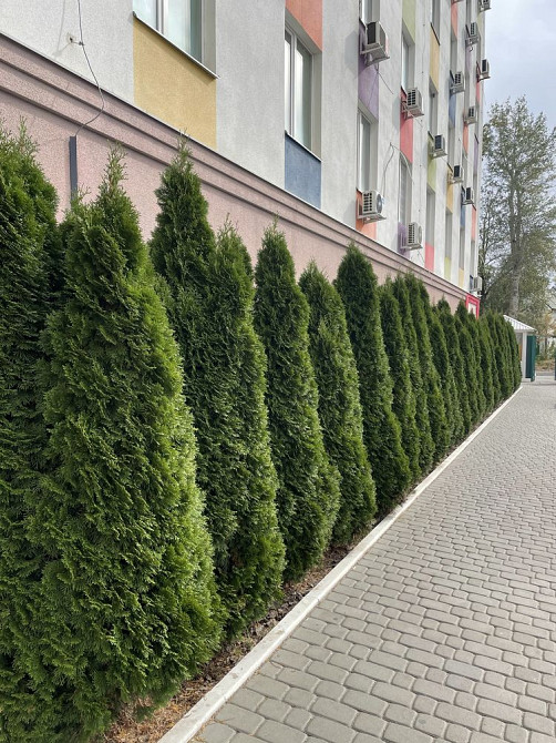 Продам квартиру 23,5 м2 на першому поверсі м. Академіка Павлова Харьков - изображение 8