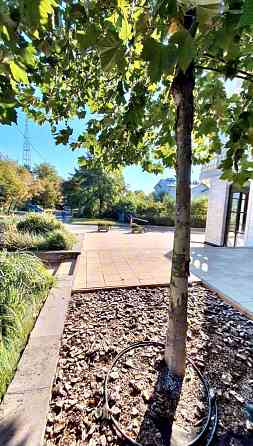 Власник! 2кімн. ЖК Liberty Residence. Вул. Лук'янівська, 2а. Центр. Киев