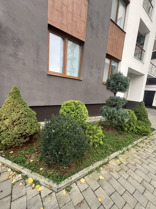 Перша здача 2 кі-ної квартири район Дастору Ужгород - изображение 3