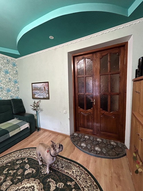 Продам 2 комнатную центр автономка газ Кам`янське (Запорізька обл.) - зображення 7