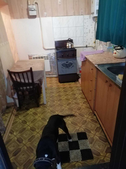 Сдам 1к квартиру ул. Исполкомовская Днепр - изображение 1