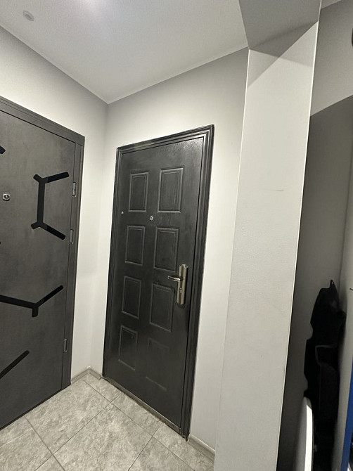 Однокомнатная квартира 4/9 Кам`янське (Запорізька обл.) - зображення 1