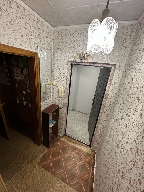 Однокомнатная квартира 4/9 Кам`янське (Запорізька обл.) - зображення 8