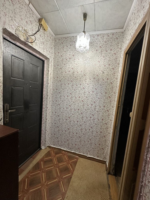 Однокомнатная квартира 4/9 Кам`янське (Запорізька обл.) - зображення 3