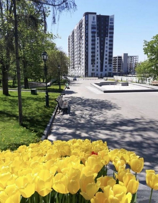 Оренда Жк Інфініті, м. Університет, центр. П-к Шевченко Харьков - изображение 7