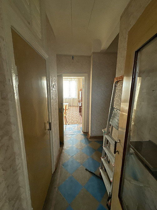 10 тыс. 3-шка Центр Можно с животными Вокзал Озерка Днепр - изображение 7